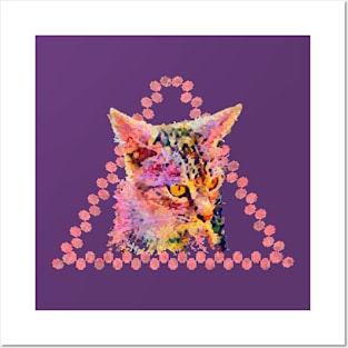 Yellow-eyed cat in a triangle Posters and Art